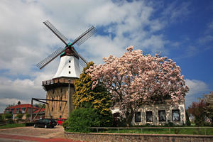 Mühle "Amanda", erbaut 1888, beherbergt die Tourist-Information und das standesamtliche Trauzimmer