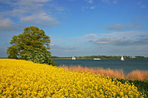 Schlei bei Ekenisfeld